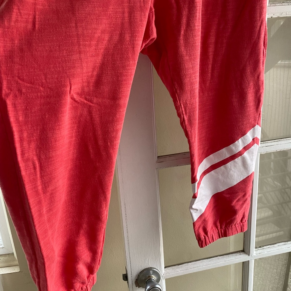 J. Crew 100% cotton vintage fleece sweat pants